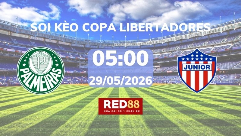 Soi kèo Palmeiras SP vs Junior Barranquilla – 05h00 – 29/05 – Copa Libertadores